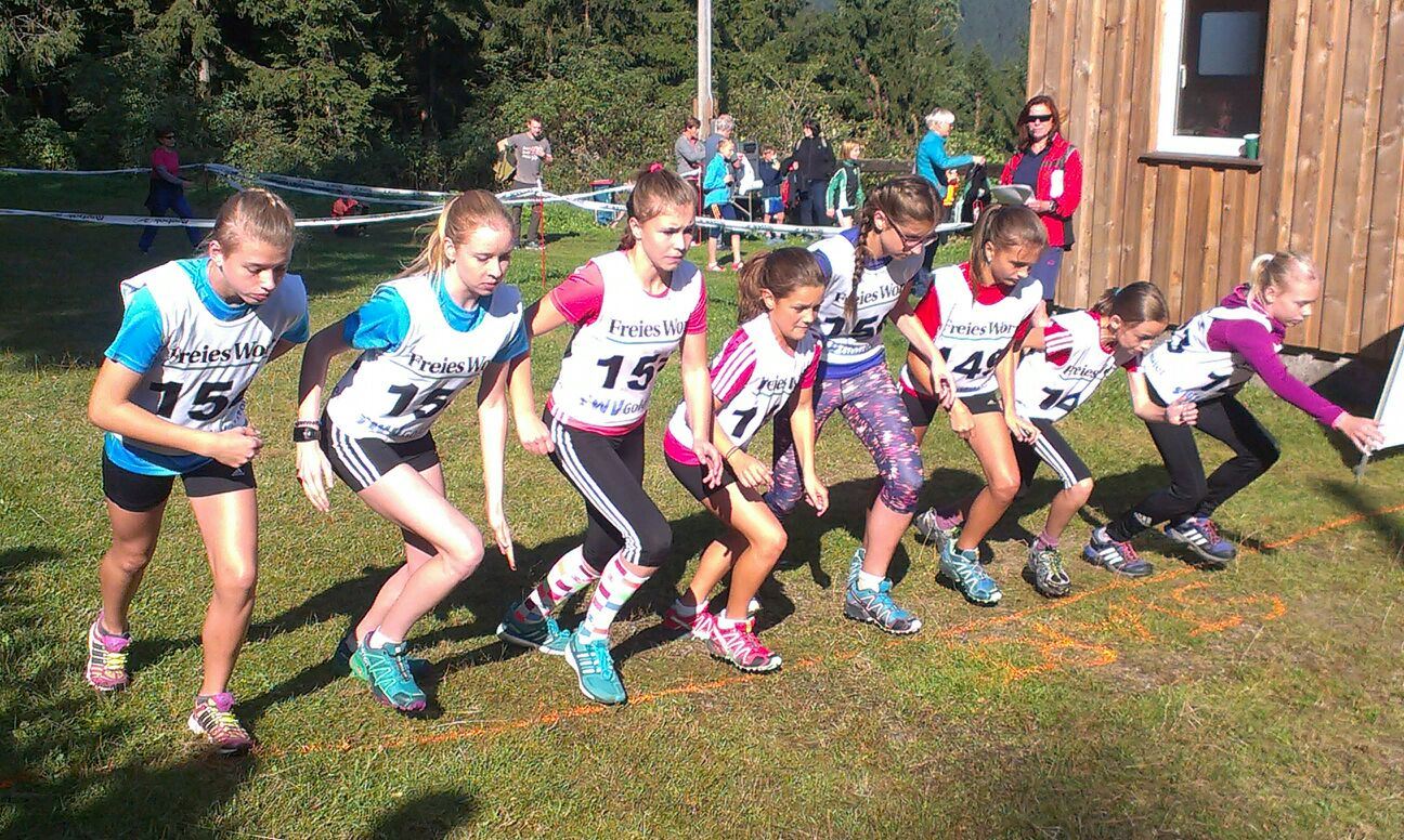 Herbstcross SWv goldlauter